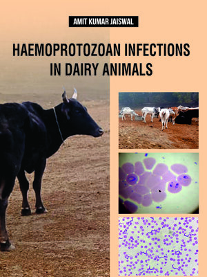 cover image of Haemoprotozoan Infections in Dairy Animals